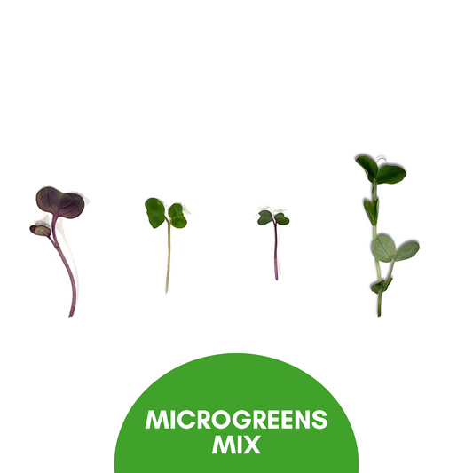 Microgreen Mix - for 9/3/25 WEDNESDAY Harvest & Delivery