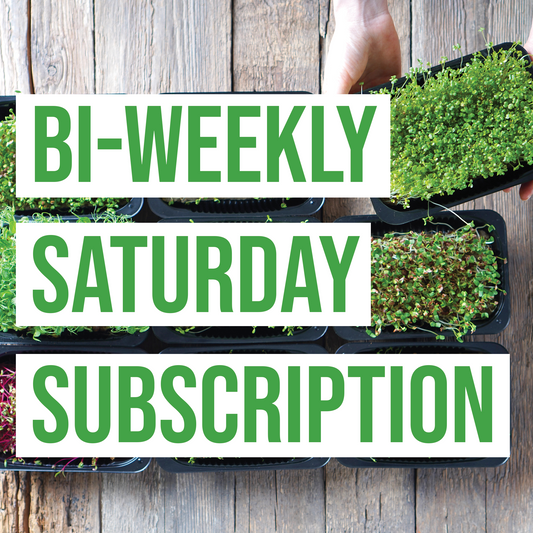 Bi-Weekly Saturday Subscription