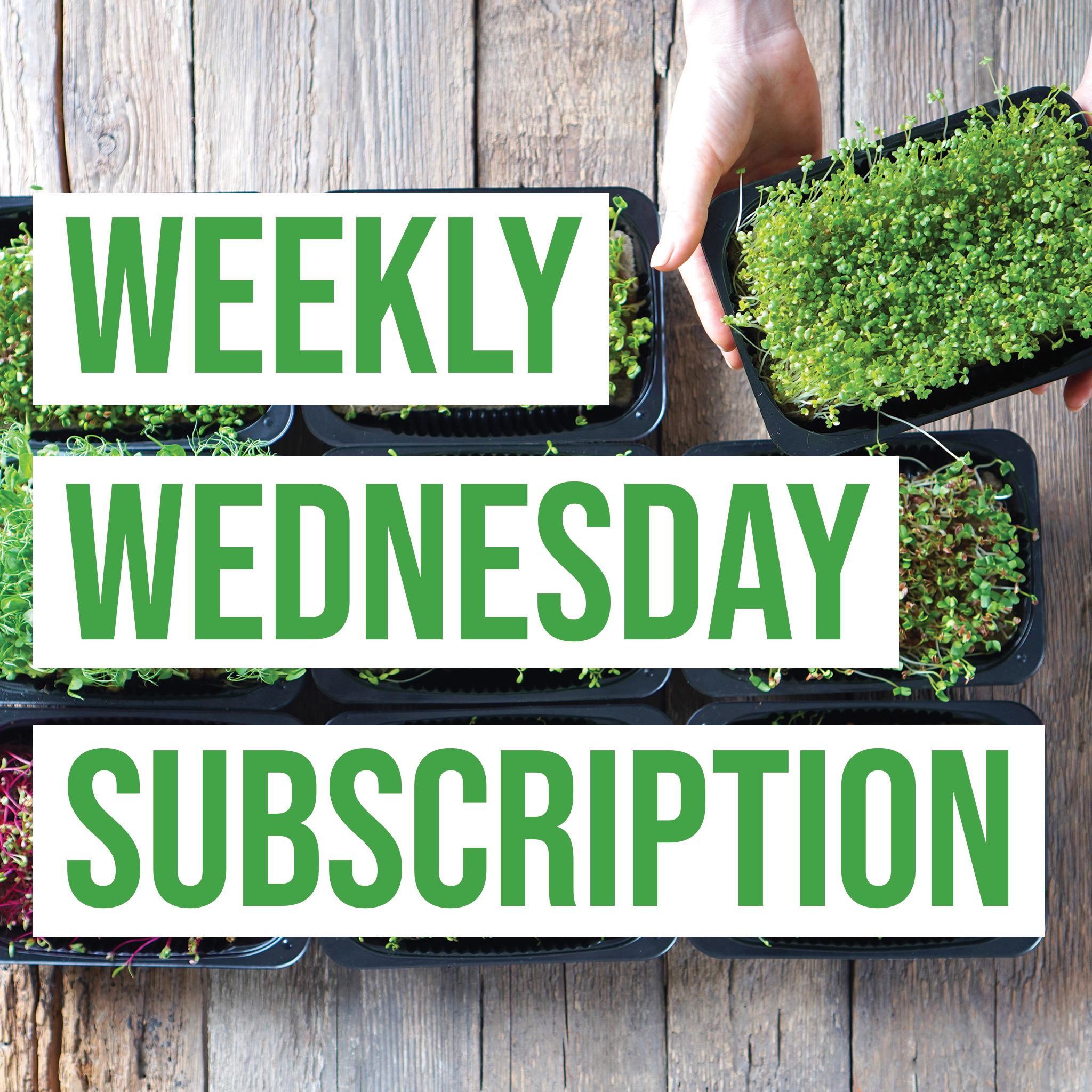 Subscriptions Wednesday Weekly Wednesday Subscription – Home Greens Nevada