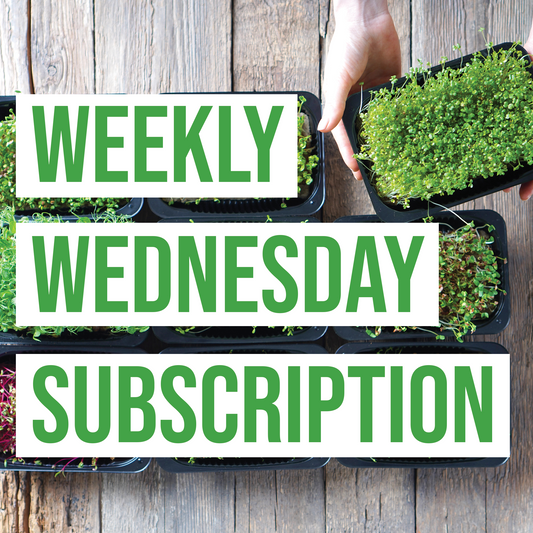 Weekly Wednesday Subscription