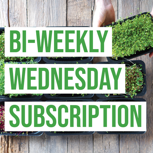 Bi-Weekly Wednesday Subscription
